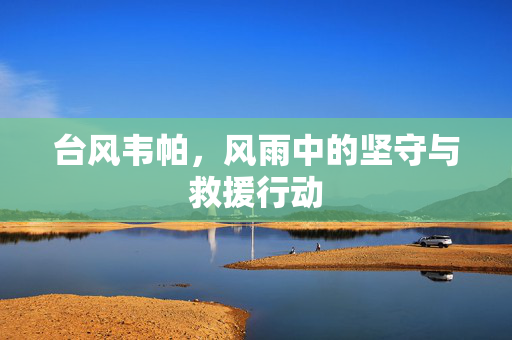 台风韦帕，风雨中的坚守与救援行动