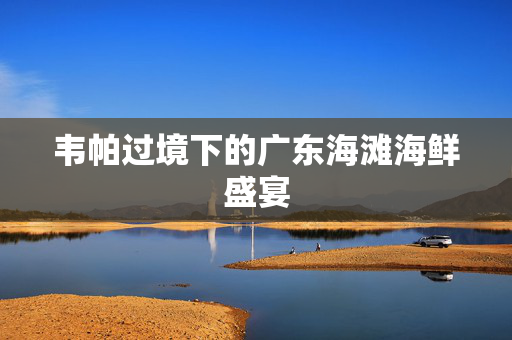 韦帕过境下的广东海滩海鲜盛宴
