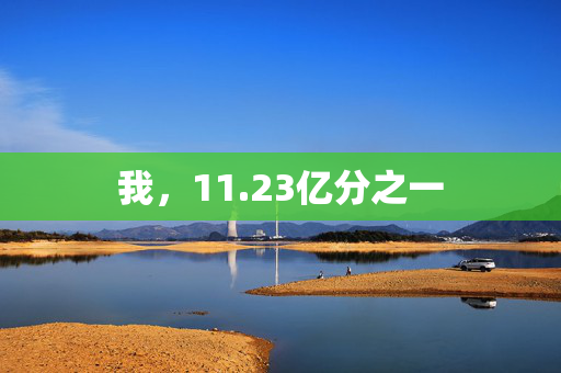 我，11.23亿分之一