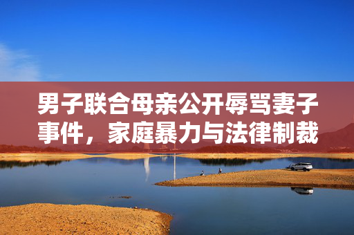 男子联合母亲公开辱骂妻子事件，家庭暴力与法律制裁