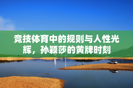 竞技体育中的规则与人性光辉，孙颖莎的黄牌时刻