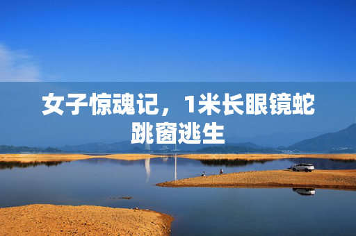 女子惊魂记，1米长眼镜蛇跳窗逃生