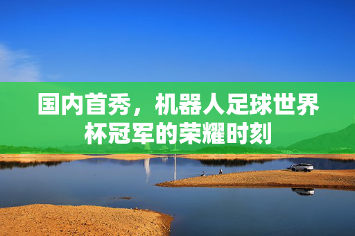 国内首秀，机器人足球世界杯冠军的荣耀时刻