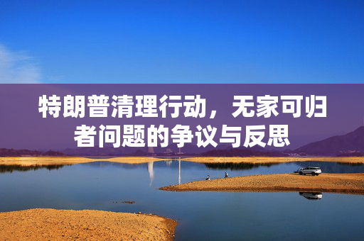 特朗普清理行动，无家可归者问题的争议与反思