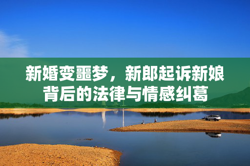 新婚变噩梦，新郎起诉新娘背后的法律与情感纠葛