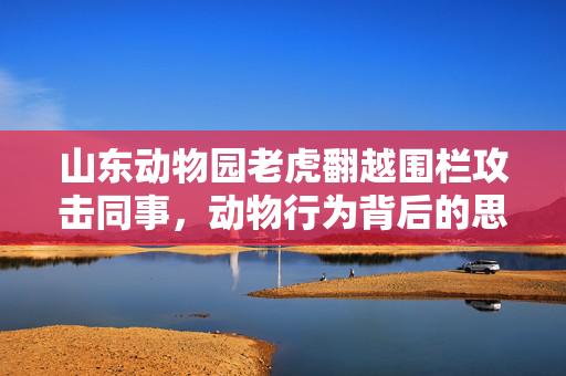 山东动物园老虎翻越围栏攻击同事，动物行为背后的思考与反思