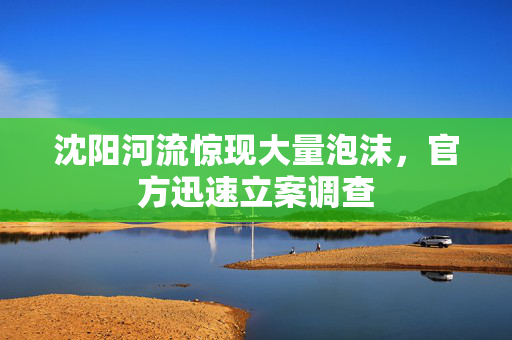 沈阳河流惊现大量泡沫，官方迅速立案调查