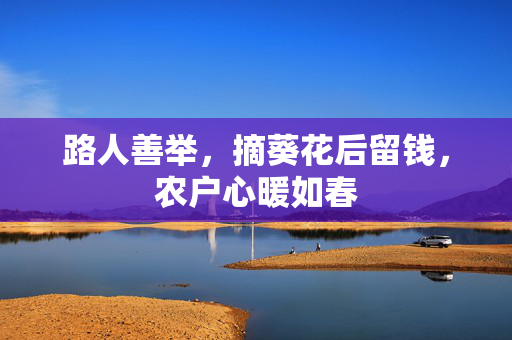 路人善举，摘葵花后留钱，农户心暖如春