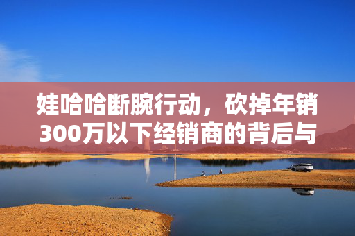 娃哈哈断腕行动，砍掉年销300万以下经销商的背后与影响