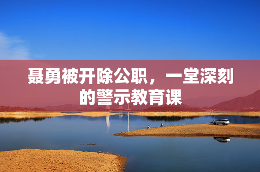 聂勇被开除公职，一堂深刻的警示教育课