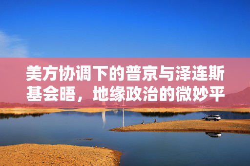 美方协调下的普京与泽连斯基会晤，地缘政治的微妙平衡与未来展望