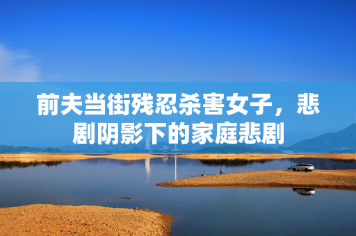 前夫当街残忍杀害女子，悲剧阴影下的家庭悲剧