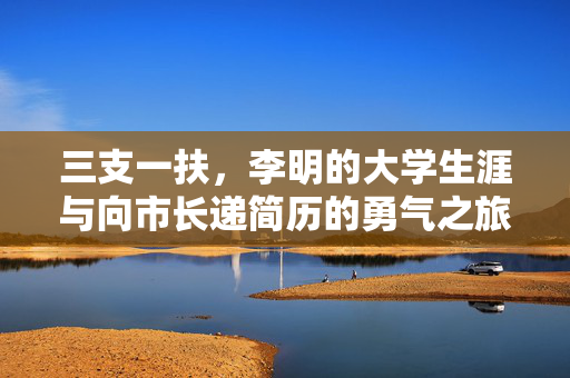 三支一扶，李明的大学生涯与向市长递简历的勇气之旅