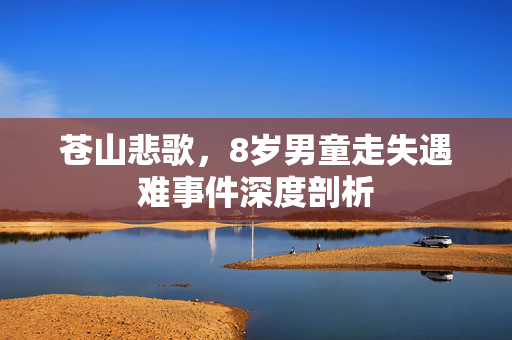 苍山悲歌，8岁男童走失遇难事件深度剖析