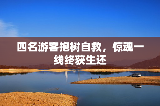 四名游客抱树自救，惊魂一线终获生还
