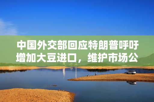 中国外交部回应特朗普呼吁增加大豆进口，维护市场公平与开放