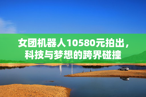 女团机器人10580元拍出，科技与梦想的跨界碰撞