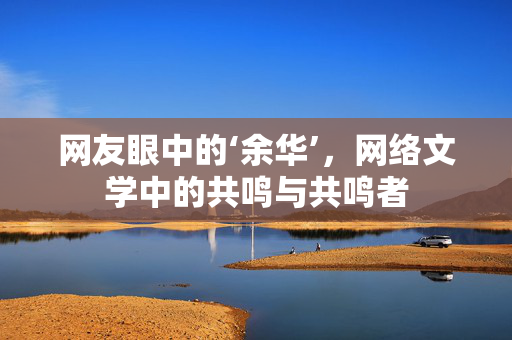 网友眼中的‘余华’，网络文学中的共鸣与共鸣者
