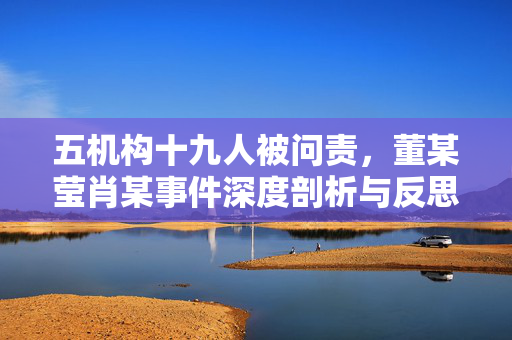 五机构十九人被问责，董某莹肖某事件深度剖析与反思