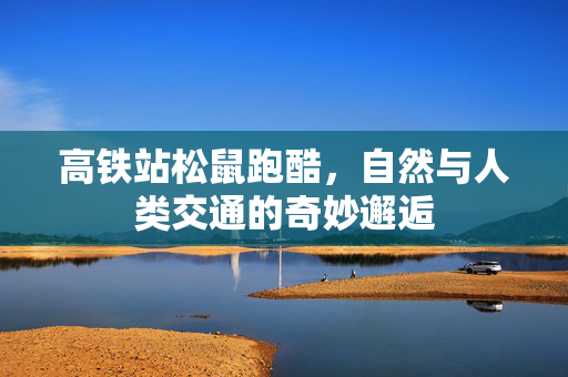 高铁站松鼠跑酷，自然与人类交通的奇妙邂逅