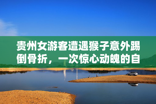 贵州女游客遭遇猴子意外踢倒骨折，一次惊心动魄的自然之旅