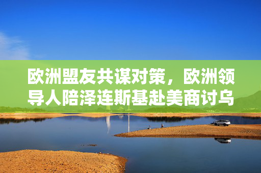 欧洲盟友共谋对策，欧洲领导人陪泽连斯基赴美商讨乌克兰危机