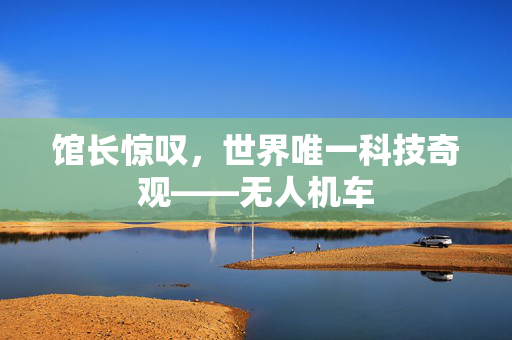 馆长惊叹，世界唯一科技奇观——无人机车