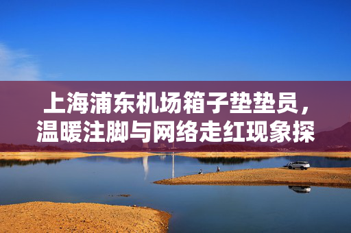上海浦东机场箱子垫垫员，温暖注脚与网络走红现象探析