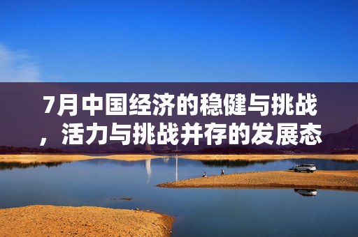 7月中国经济的稳健与挑战，活力与挑战并存的发展态势