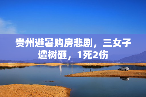 贵州避暑购房悲剧，三女子遭树砸，1死2伤