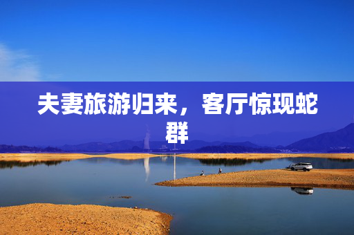 夫妻旅游归来，客厅惊现蛇群