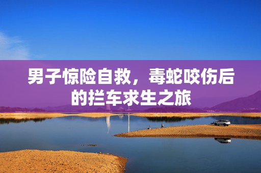 男子惊险自救，毒蛇咬伤后的拦车求生之旅