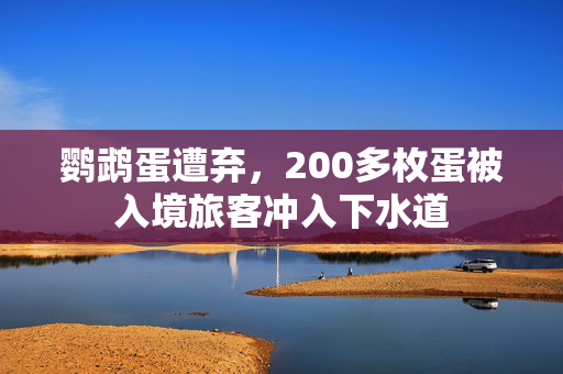 鹦鹉蛋遭弃，200多枚蛋被入境旅客冲入下水道