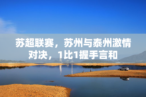 苏超联赛，苏州与泰州激情对决，1比1握手言和