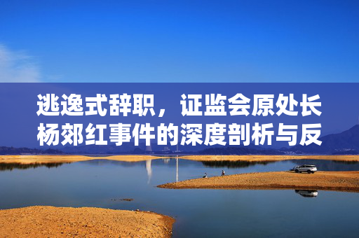 逃逸式辞职，证监会原处长杨郊红事件的深度剖析与反思