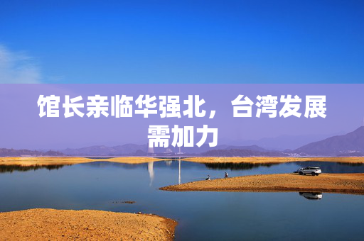 馆长亲临华强北，台湾发展需加力