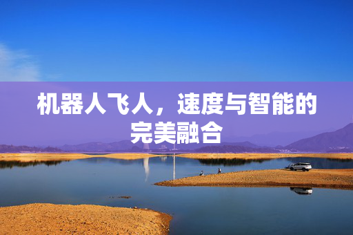 机器人飞人，速度与智能的完美融合