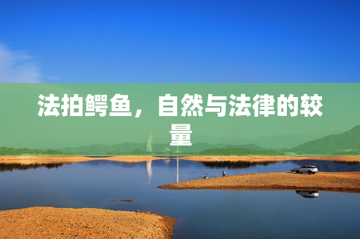 法拍鳄鱼，自然与法律的较量