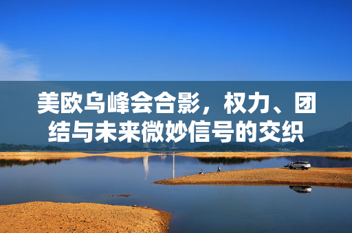 美欧乌峰会合影，权力、团结与未来微妙信号的交织