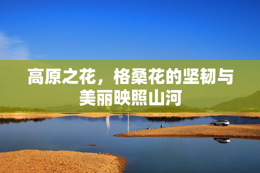 高原之花，格桑花的坚韧与美丽映照山河