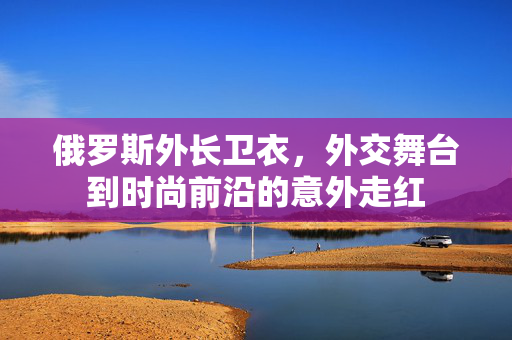 俄罗斯外长卫衣，外交舞台到时尚前沿的意外走红
