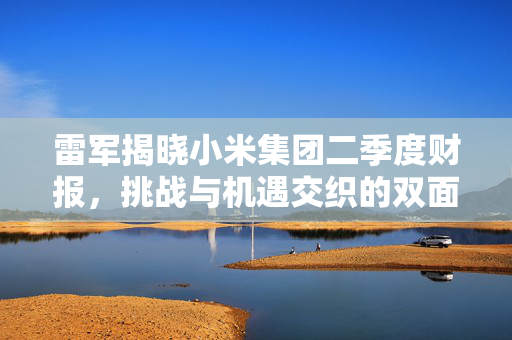 雷军揭晓小米集团二季度财报，挑战与机遇交织的双面故事