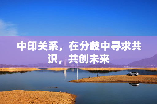 中印关系，在分歧中寻求共识，共创未来