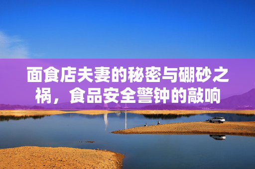 面食店夫妻的秘密与硼砂之祸，食品安全警钟的敲响