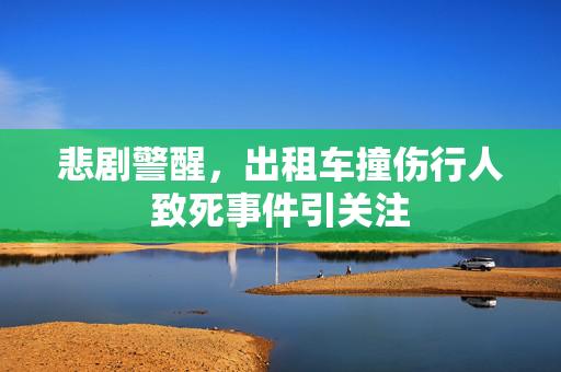 悲剧警醒，出租车撞伤行人致死事件引关注
