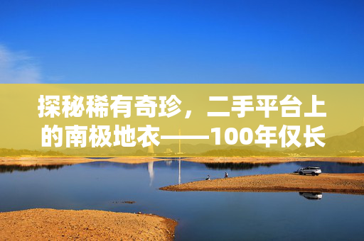 探秘稀有奇珍，二手平台上的南极地衣——100年仅长1毫米的奇迹