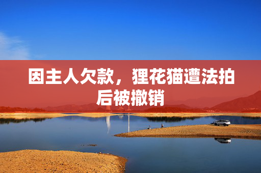 因主人欠款，狸花猫遭法拍后被撤销