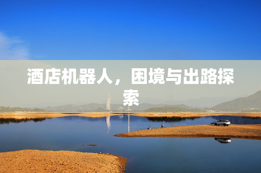 酒店机器人，困境与出路探索