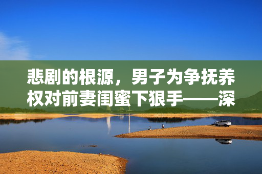 悲剧的根源，男子为争抚养权对前妻闺蜜下狠手——深度剖析背后的情感与法律纠葛
