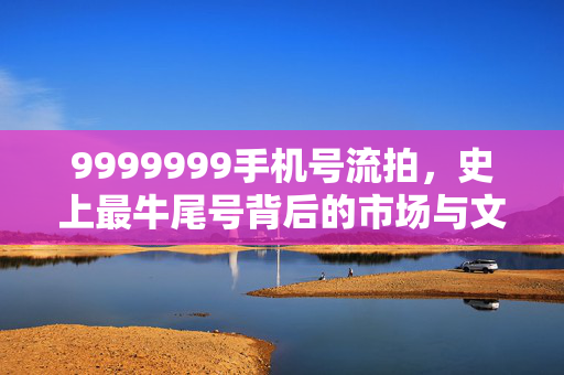 9999999手机号流拍，史上最牛尾号背后的市场与文化思考